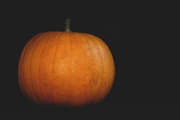 pumpkin portrait with black background
