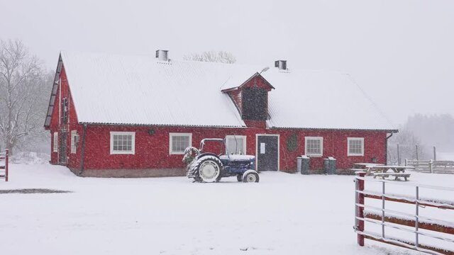 Winter at farm ranch. Snow falling and white covered ground view from inside horse stable out to nature and red wooden building. Slow motion gimbal shot. Beautiful season wonderland theme