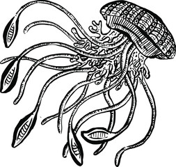 Line Art Cartoon Jellyfish Octopus Deep Sea Creatures Vector