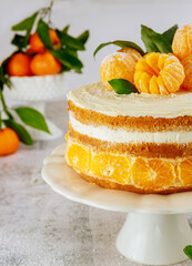 Close up of tasty and festive cake with fresh mandarins.