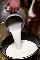 lait dans un sceau