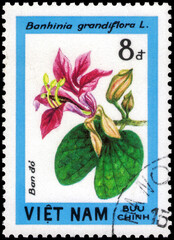 Postage stamp issued in the Vietnam with the image of the Bauhinia grandiflora. From the series on...