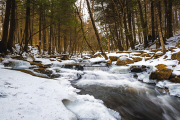 Winter Stream