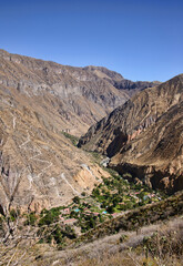 Aerial view of the Sangalle Oasis in the Colca Canyon, Peru