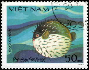  Postage stamp issued in the Vietnam with the image of the Spot-fin Porcupinefish, Diodon hystrix. From the series on Fish, circa 1984