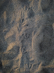 texture of sand