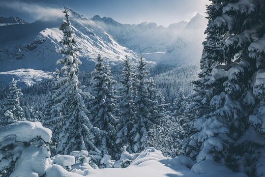 Fototapeta Hala Gąsienicowa - Tatry Polskie w zimie