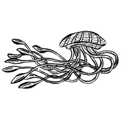 Line Art Cartoon Jellyfish Octopus Deep Sea Creatures Vector