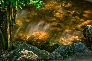 Rocky bottom bubble filled pool  in a small stream with vegitation is bathed in warm morning sunbeams