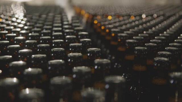 Top view of capped beer bottles in a factory. Glass bottles ready for distribution. Factory concept.