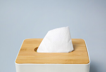Holder with paper tissues on light grey background, closeup