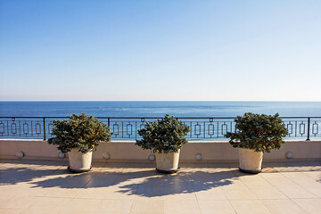 A horizon line and sea view over the thin minimalistic balcony fence at the edge of the terrace. Decoration plants in pots on a sunlit beige floor. Clear blue sky on a sunny day. Perfect sea view.