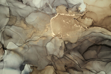 Alcohol ink art.Mixing liquid paints. Modern, abstract colorful background, wallpaper. Marble texture.Translucent colors