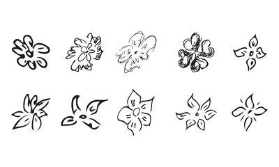 10 hand-drawn blossom wildflowers. Big collection of 10 hand-drawn roses. Big floral botanical set. Isolated on white background. Doodle simple vector collection.