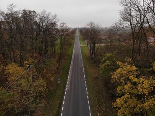 bridge over the river