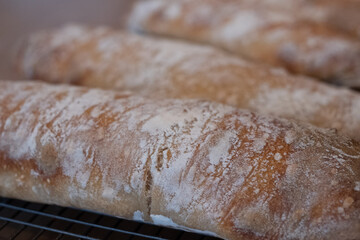 Home made ciabatta sour dough loaves cooling on wire tray on wooden surface, baked during the Coronavirus lockdown.