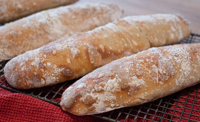 Home made ciabatta sour dough loaves cooling on wire tray on wooden surface, baked during the Coronavirus lockdown.