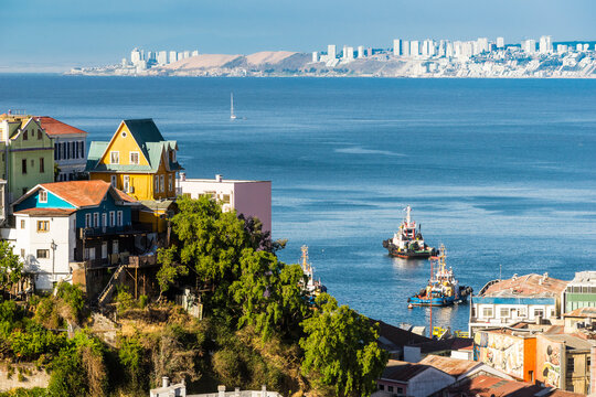 Houses on a hill in Valparaiso with Vina del Mar in the background, Chile