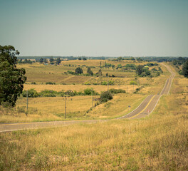 Paisaje rural