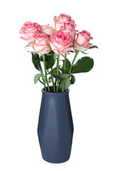 Dark blue vase with beautiful pink roses isolated on white