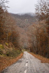 Obraz premium Curvy and straight mountain road in autumn