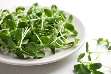 Plate with fresh microgreen on white table, closeup