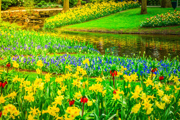 spring pond in park