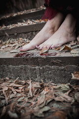 Obraz premium legs with witch blood in yellow foliage