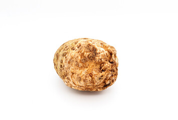 A celery root isolated on a white background