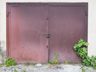 Closed iron brown garage door with padlock and plants sprouting through the asphalt