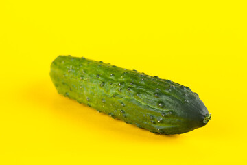 Ripe fresh cucumber