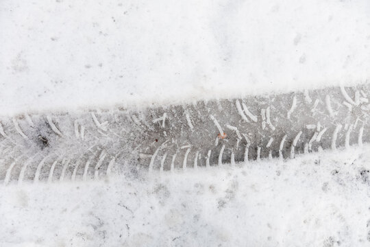 Einzelne Aurospur im Schnee, d&uuml;nne Schneeschicht