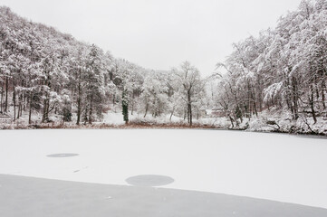 Fototapeta premium Arlesheim, Ermitage, See, Winter, Schnee, Schneedecke, Schneefall, Wanderweg, Winterwanderung, Wald, Eis, Eisfläche, Baselland, Schweiz