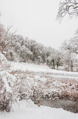 Arlesheim, Ermitage, See, Winter, Schnee, Schneedecke, Seeufer, Schilf, Wanderweg, Winterwanderung, Wald, Eis, Eisfläche, Baselland, Schweiz
