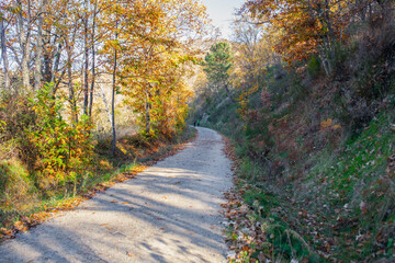 Green-Way by Banos de Montemayor on Magic Autumn season, Extremadura, Spain