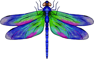 pink and blue dragonfly with delicate wings vector illustration - obrazy, fototapety, plakaty