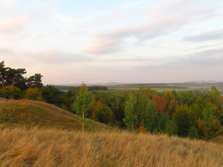 Autumn view from the hill on the forest and planting.  
