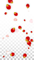 Vector Realistic Petals and Hearts Confetti. Flying Rose and Hearts on Transparent Background. St. Valentine Day Background. Spring Romance Flyer