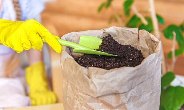 Paper Bag With Soil, Yellow Rubber Gloves With A Garden Scoop. Gardening, Spring Planting. Love Nature Concept. Ecology And Environment. Heart Of Soil. Plant Flower Shop. Sweet Home.