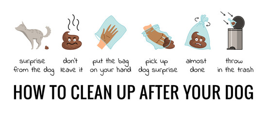 Dog poo clean up steps infographic set. Vector poster about hygiene animal, toilet cleaning information after your dog. Pick up poo after pets, picking waste in canine bag and throw in the trash