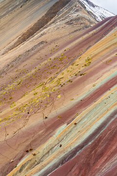 Aerial view of llamas walking on colorful slope of Rainbow Mountain, Pitumarca, Peru