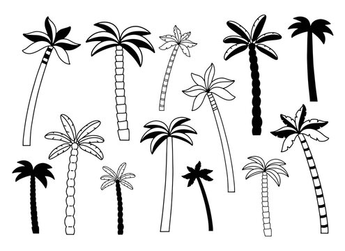 Set of palm trees, vector illustration, hand drawn and silhouette of palm, isolated icon. Black drawing on a white background. 