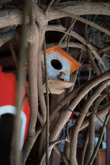 House of a bird in a tree