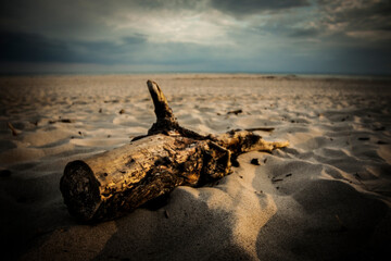 sunset on the beach © Sieku Photo