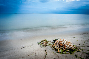 turtle on the beach © Sieku Photo