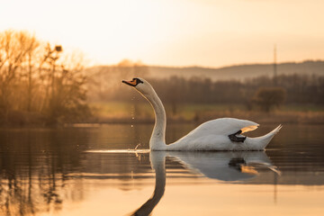 How little is enough.