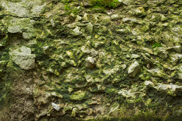 Texture of old stone wall overgrown with moss. Background