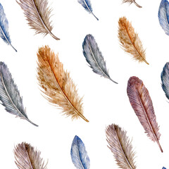 Watercolor seamless pattern with feathers. White background