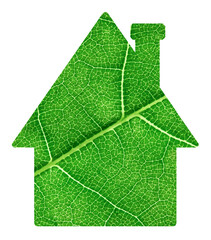 Green leaf house symbol