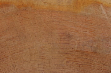  close up of wooden texture